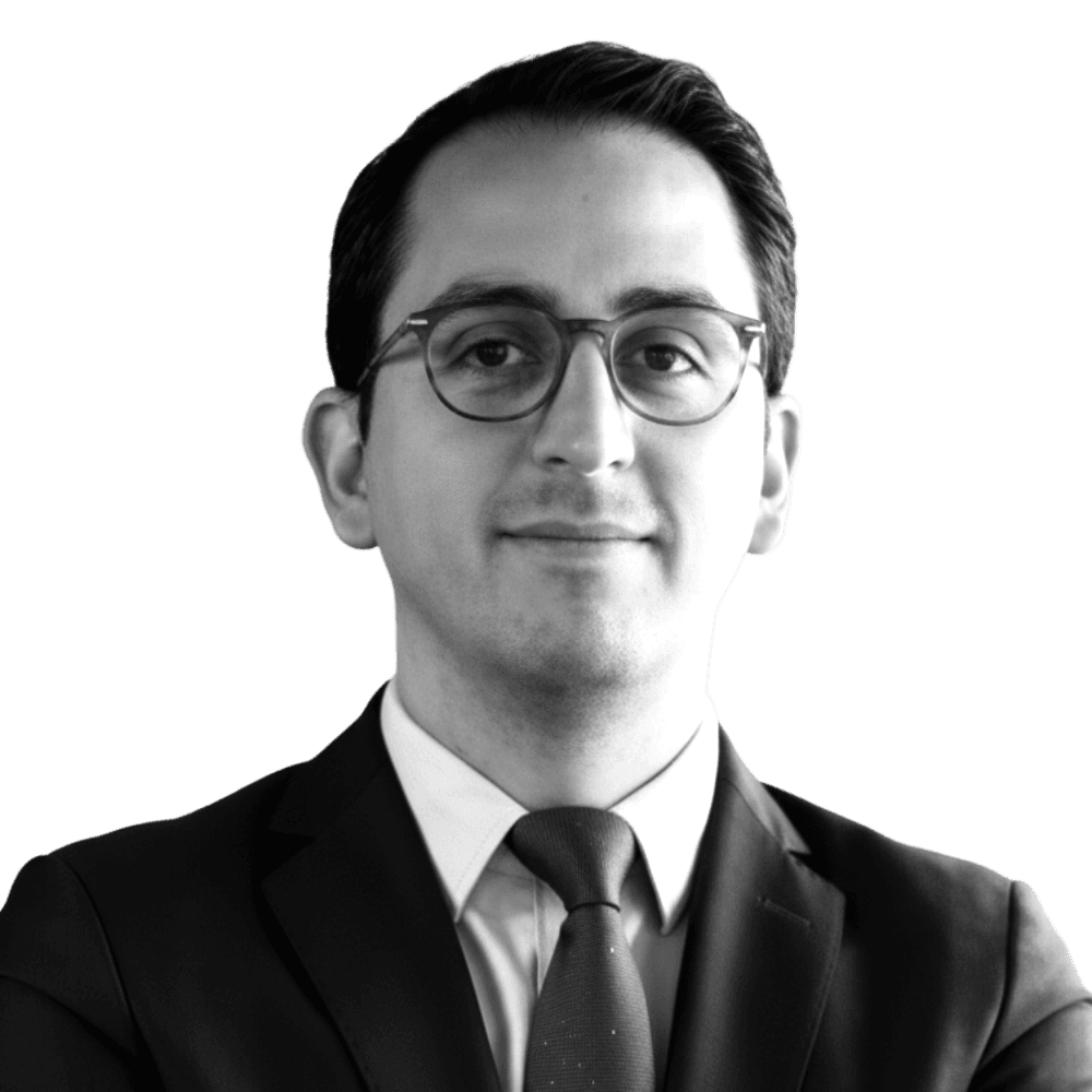 Mtro. Andrés Aguinaco Gómez Mont